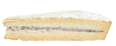 a slice of Truffle Brie with 6% Truffle