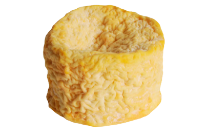 a block of Langres cheese
