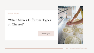 What Makes Different Types of Cheese?