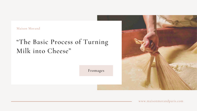 The Basic Process of Turning Milk into Cheese
