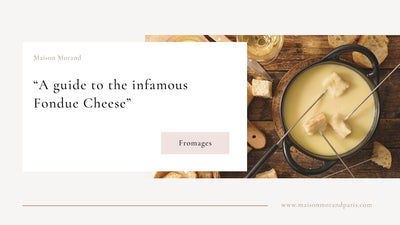 A Guide to the Fondue Cheese