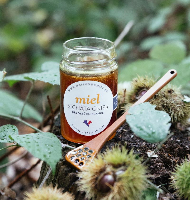 Chestnut Honey from Gard