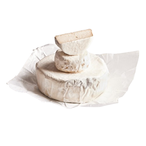 Vegan Brie