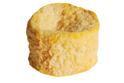 a block of Langres cheese