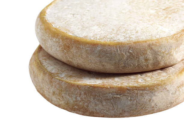two half blocks of Reblochon cheese kept over each other