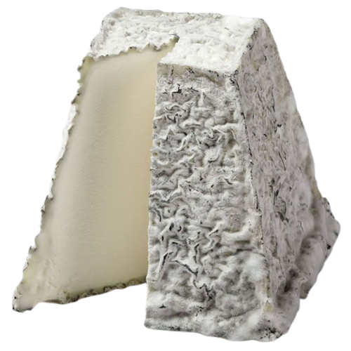 a partially cut block of Valençay cheese