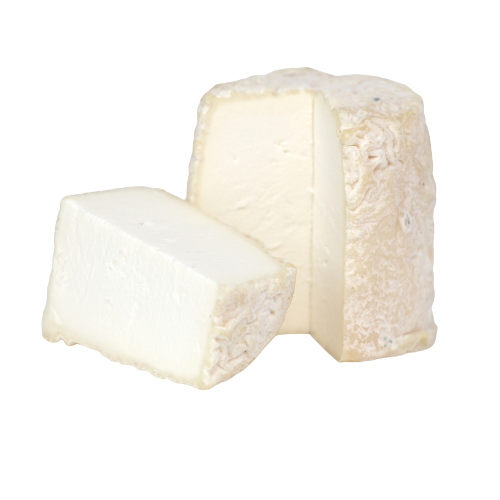 two big pieces of Chabichou du Poitou cheese